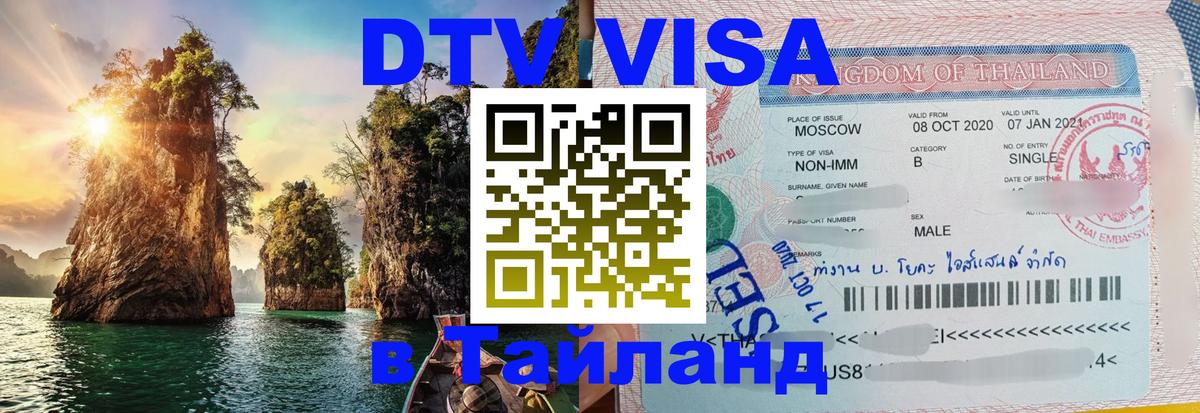 Оформление DTV визы под ключ: стоимость и тарифы, только загранпаспорт - Рыбинск  22.11.2025 